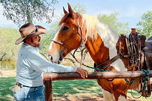 Horse
