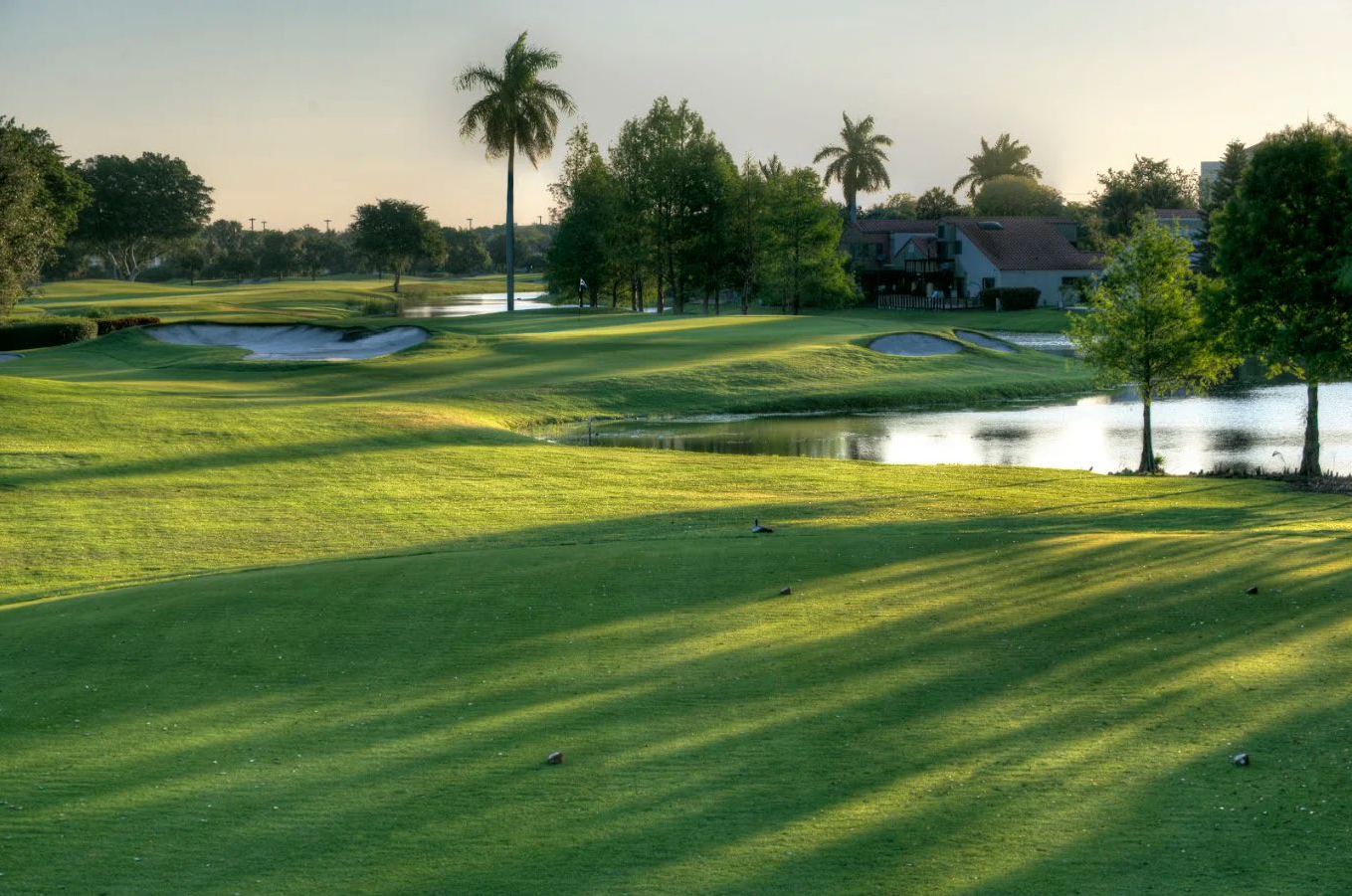 Golf